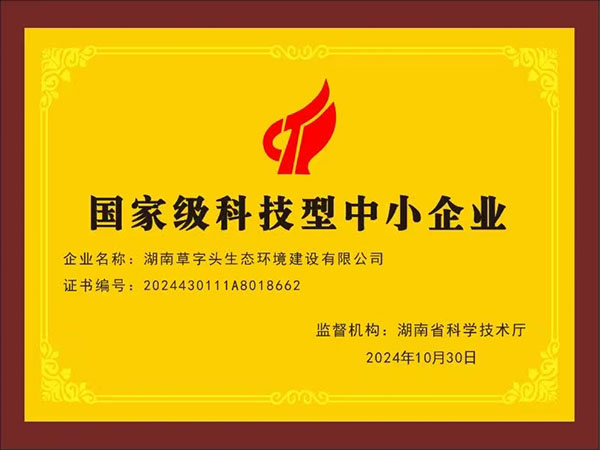国家级科技型中小企业