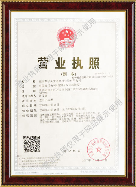湖南草字头生态环境建设有限公司,人造草坪假草皮,湖南雨水收集处理工艺 湖南草字头生态环境建设有限公司,人造草坪假草皮,湖南雨水收集处理工艺