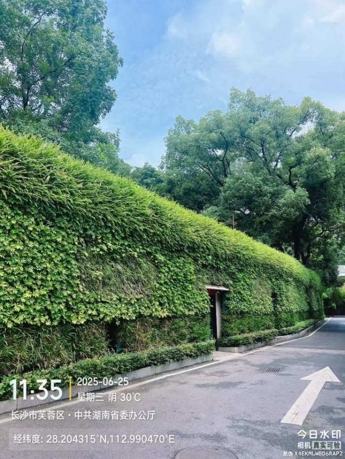 湖南草字头生态环境建设有限公司,人造草坪假草皮,湖南雨水收集处理工艺