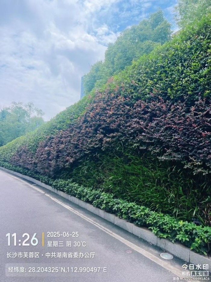 湖南草字头生态环境建设有限公司,人造草坪假草皮,湖南雨水收集处理工艺